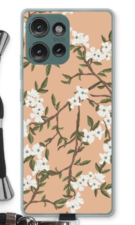Blossoming spring