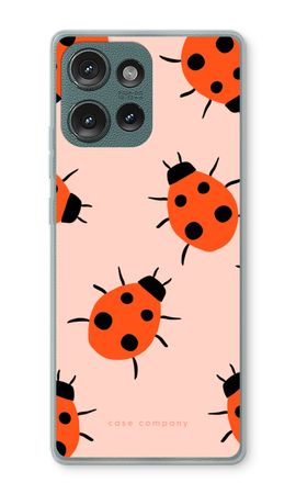 Ladybugs
