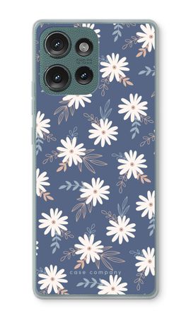 Midnight Daisy