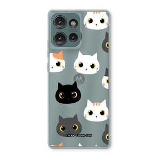 Katzen