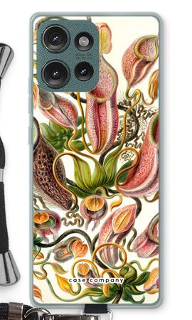 Haeckel Nepenthaceae