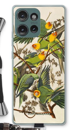 Carolina Parrot
