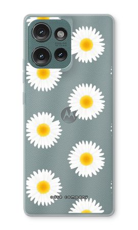 Daisies