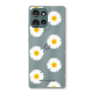 Margrietjes