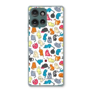Colourful cats