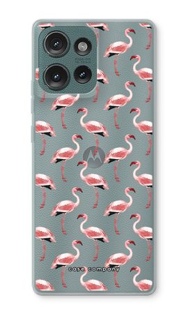 Fenicotteri in Verde