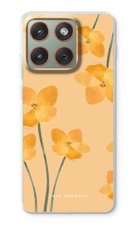 Sunlit bloom