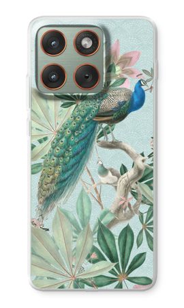 Paradise Garden Peacock