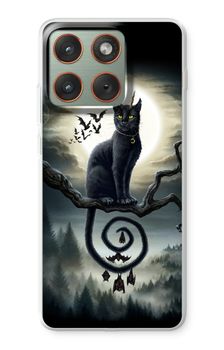 Moonlight Companions