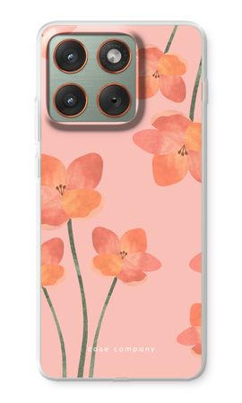 Peachy bloom