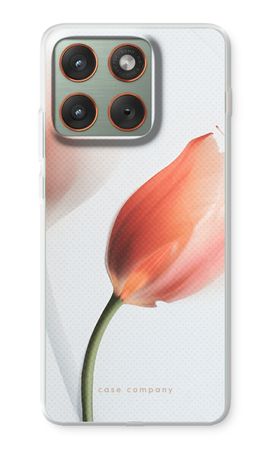 Tulip