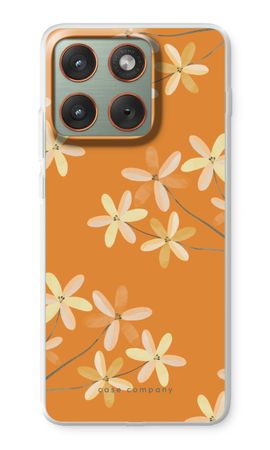 Warm bloom