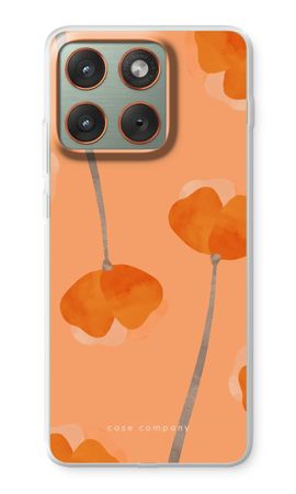 Tangerine bloom