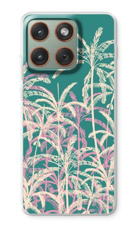 Tropical Palms