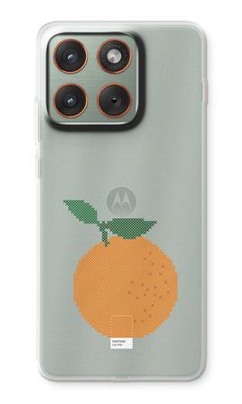 Stitched Clementine