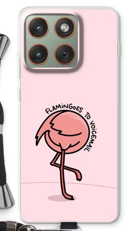 Flamingoes to voicemail