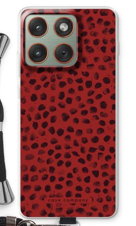 Ladybird Paint