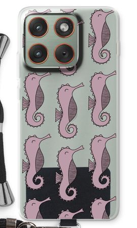 Seahorses