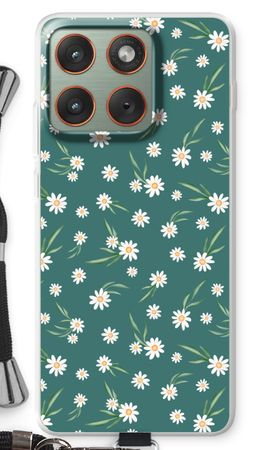 Small daisies