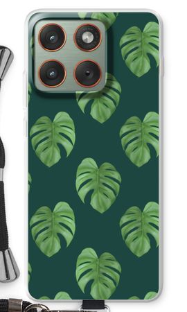 Monstera leaves