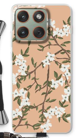 Blossoming spring