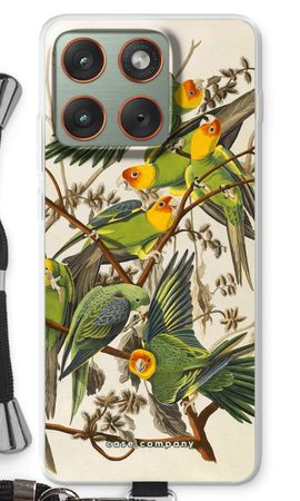 Carolina Parrot