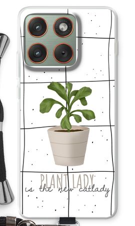 Houseplant on windowpane
