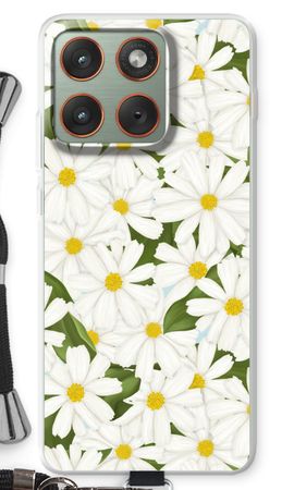 Summer Daisies
