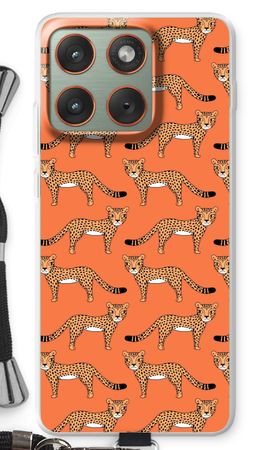 Cheetah
