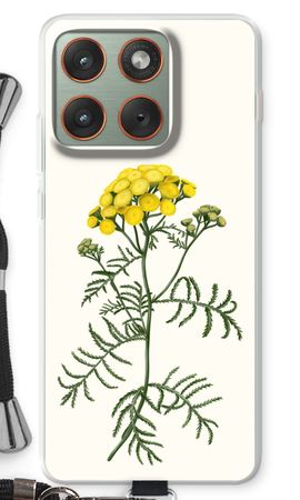 Tansy