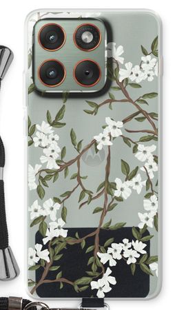 Blossoming spring