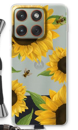 Sunflower and bees