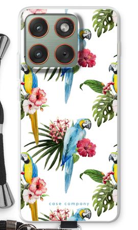 Colourful parrots