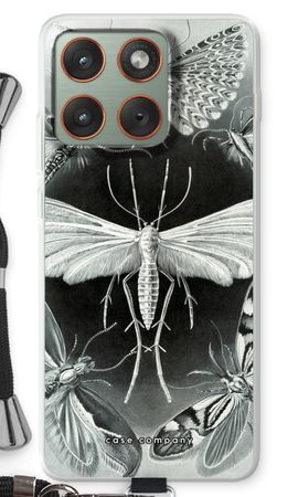 Haeckel Tineida