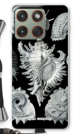 Haeckel Prosobranchia