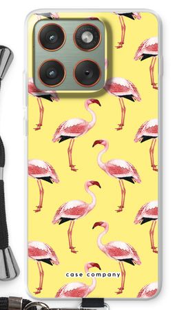 Flamingos yellow