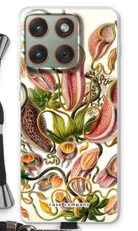 Haeckel Nepenthaceae
