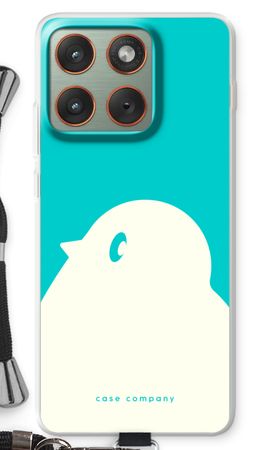 BIG Robin 2