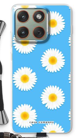Daisies