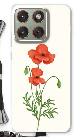 Red poppy