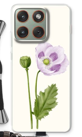 Purple poppy