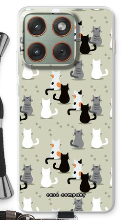 Cats