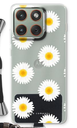 Daisies