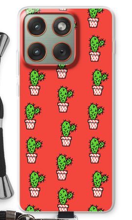 Mini cactus