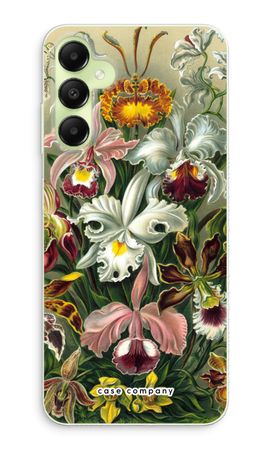 Haeckel Orchidae