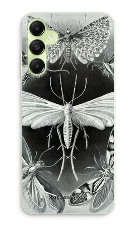 Haeckel Tineida