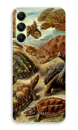Haeckel Chelonia