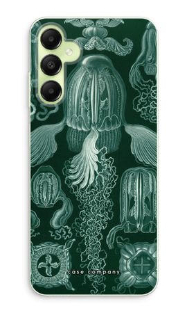 Haeckel Cubomedusae
