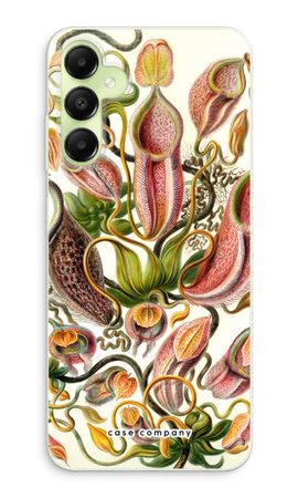 Haeckel Nepenthaceae