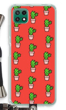 Mini cactus